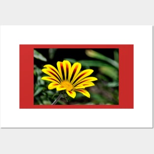 Yellow and Red Flower Posters and Art